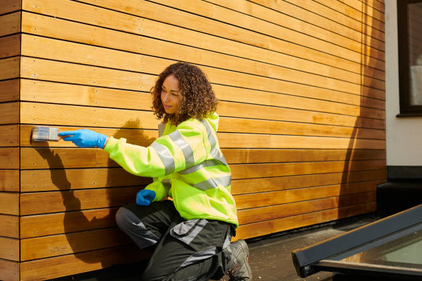 Best Custom Trim and Detailing for Siding  in Brighton, IL