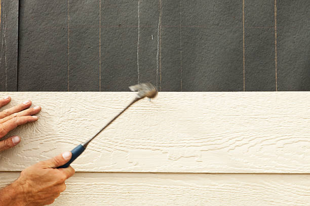 Reliable Brighton, IL Siding Solutions
